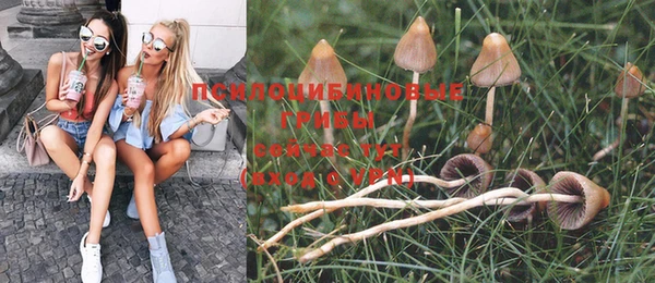 ешки Елабуга