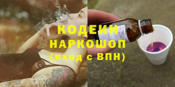 индика Ельня