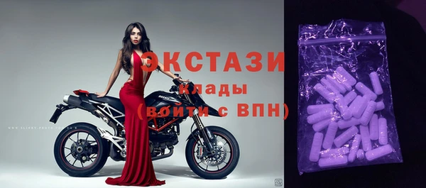 индика Ельня