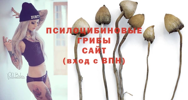 ешки Елабуга