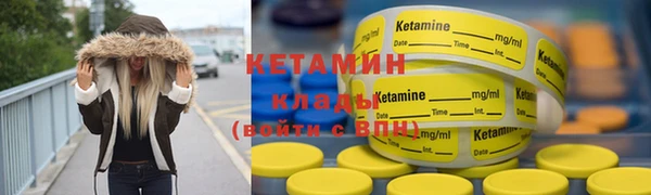 индика Ельня