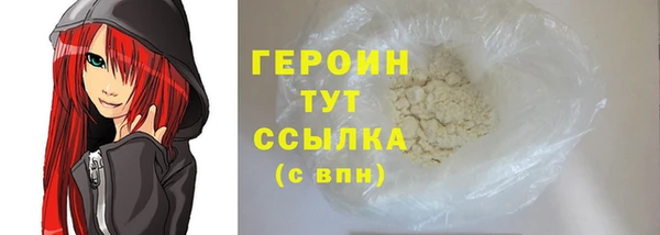 индика Ельня