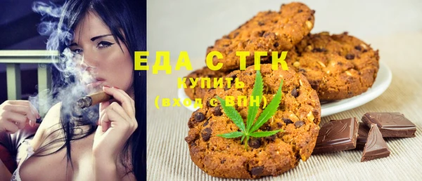 индика Ельня