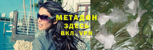 индика Ельня
