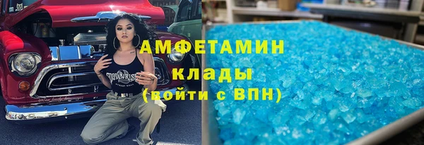 индика Ельня