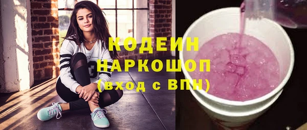 индика Ельня
